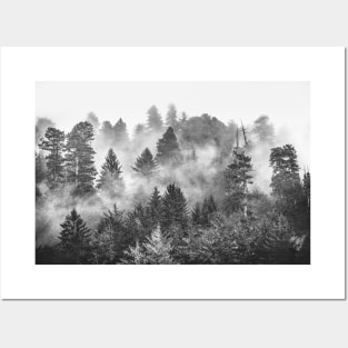 Redwood Forest Black and White Posters and Art